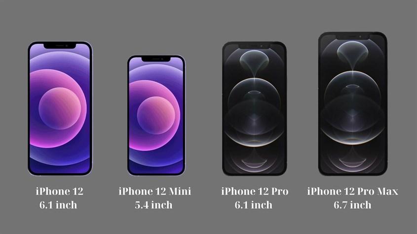 So s&aacute;nh k&iacute;ch thước m&agrave;n h&igrave;nh iPhone 12 series