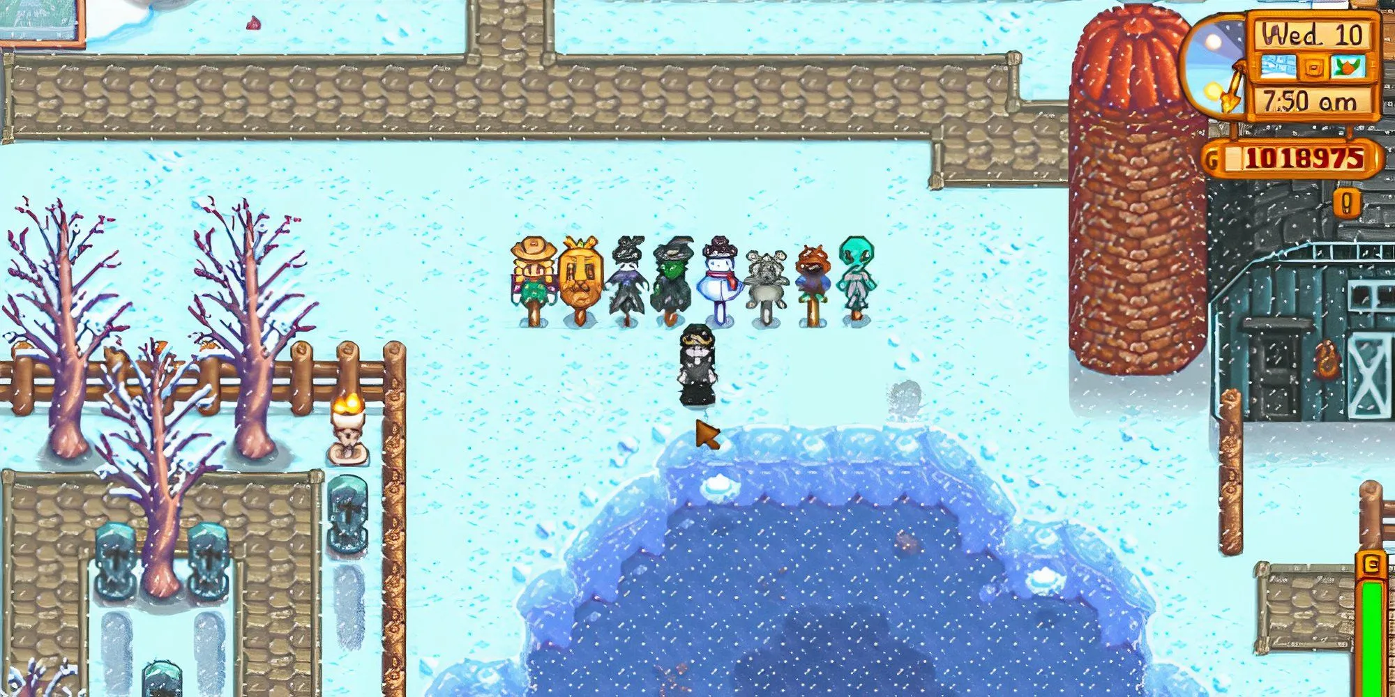 Bộ sưu tập các loại Chim bù nhìn hiếm trong Stardew Valley