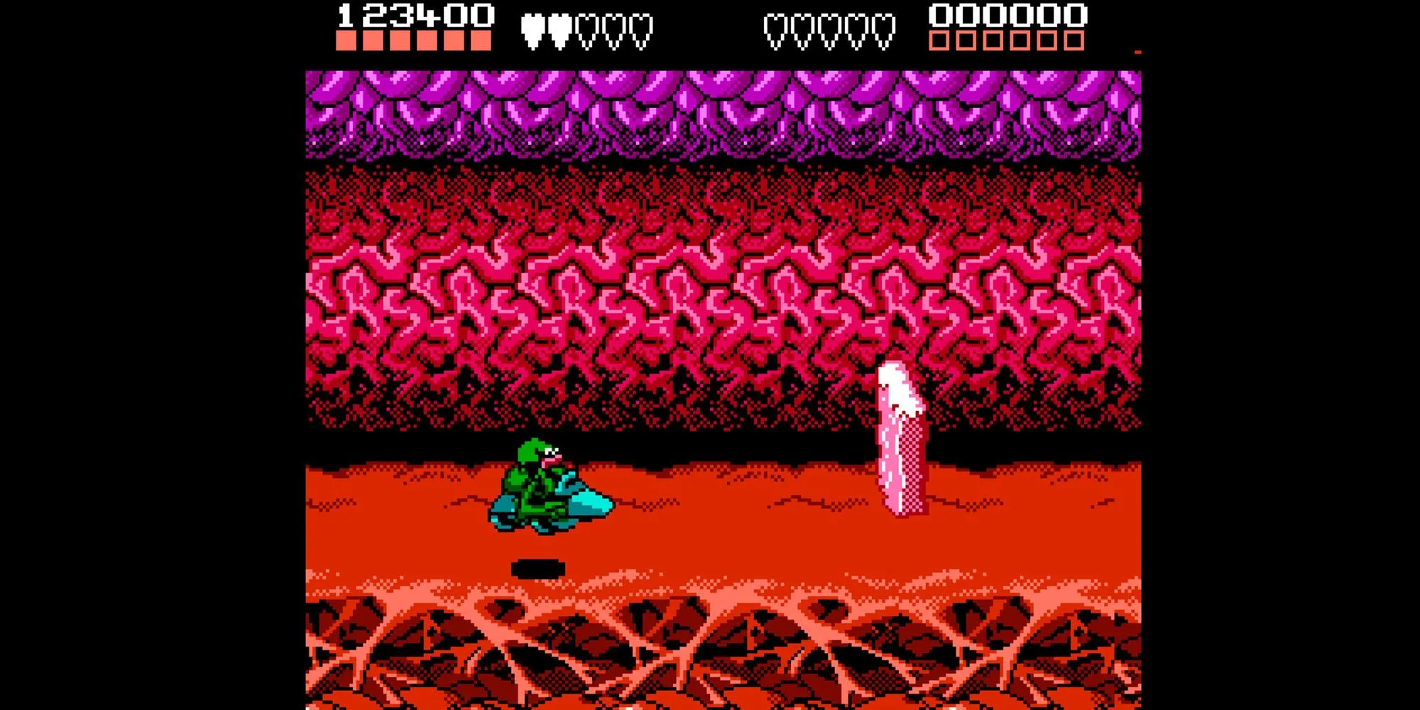 Hai chú cóc chiến đấu với kẻ thù trong game Battletoads trên NES
