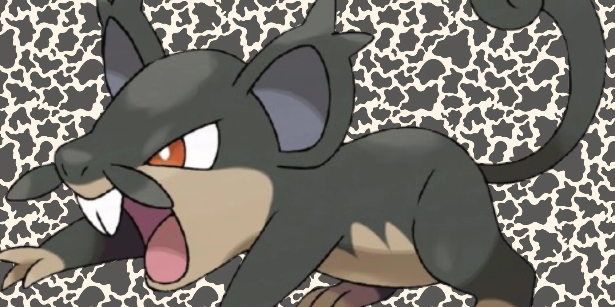 Hình ảnh Alolan Rattata với bộ lông sẫm màu và vẻ ngoài tinh ranh