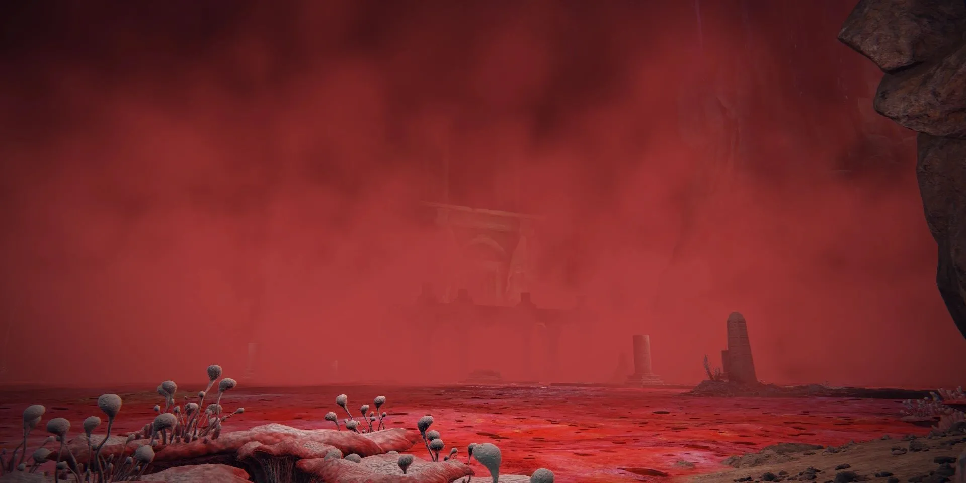 Hồ Mục Nát (Lake of Rot), một địa điểm khủng khiếp bị nhiễm Scarlet Rot trong Elden Ring