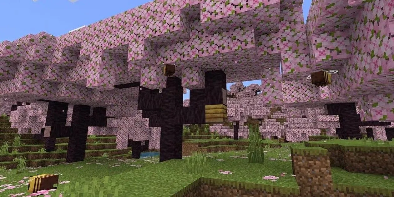 Khu rừng anh đào tuyệt đẹp, một trong những biome đa dạng của Minecraft