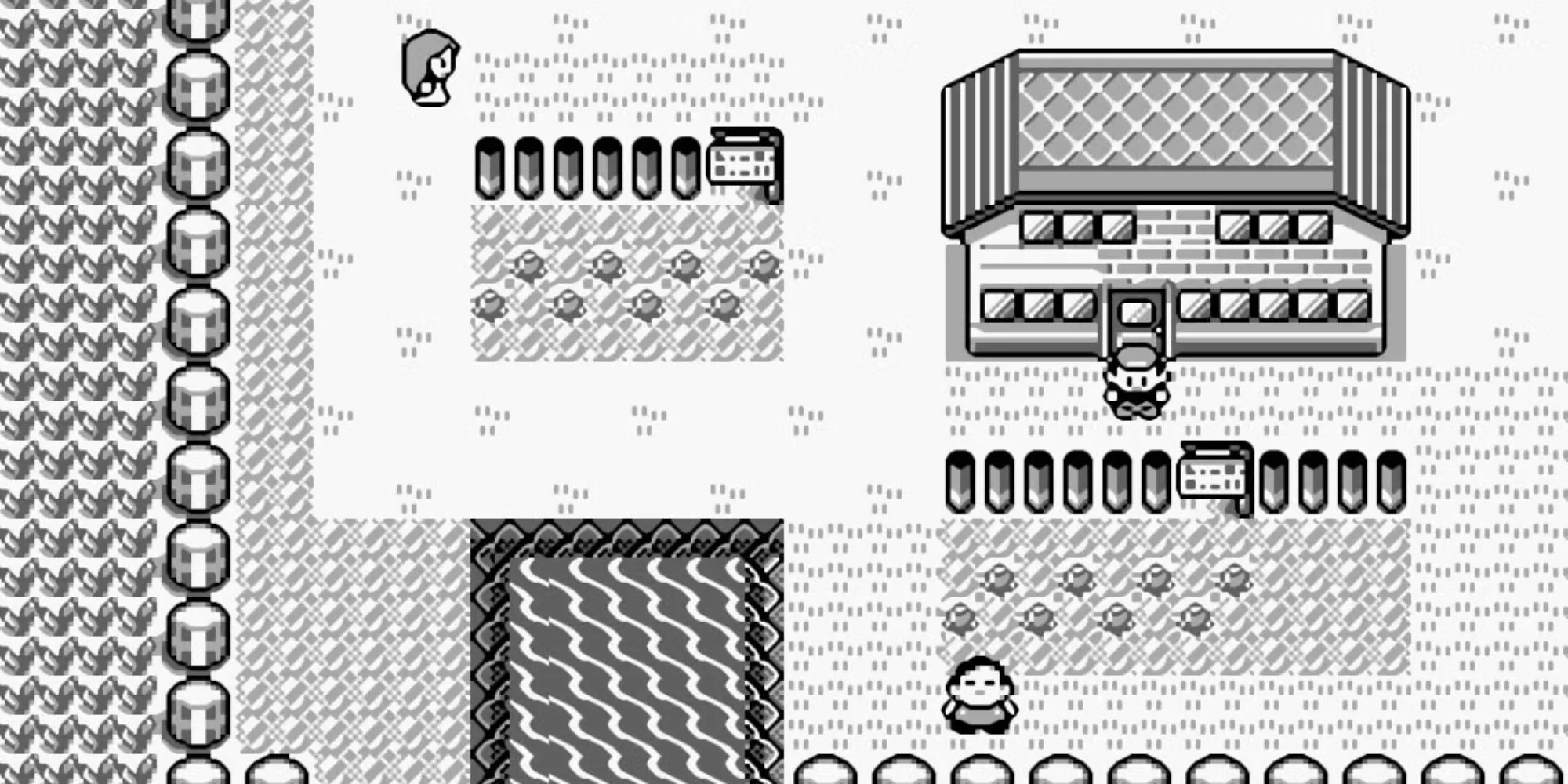 Khung cảnh một thị trấn quen thuộc trong Pokemon Red Blue Green Yellow