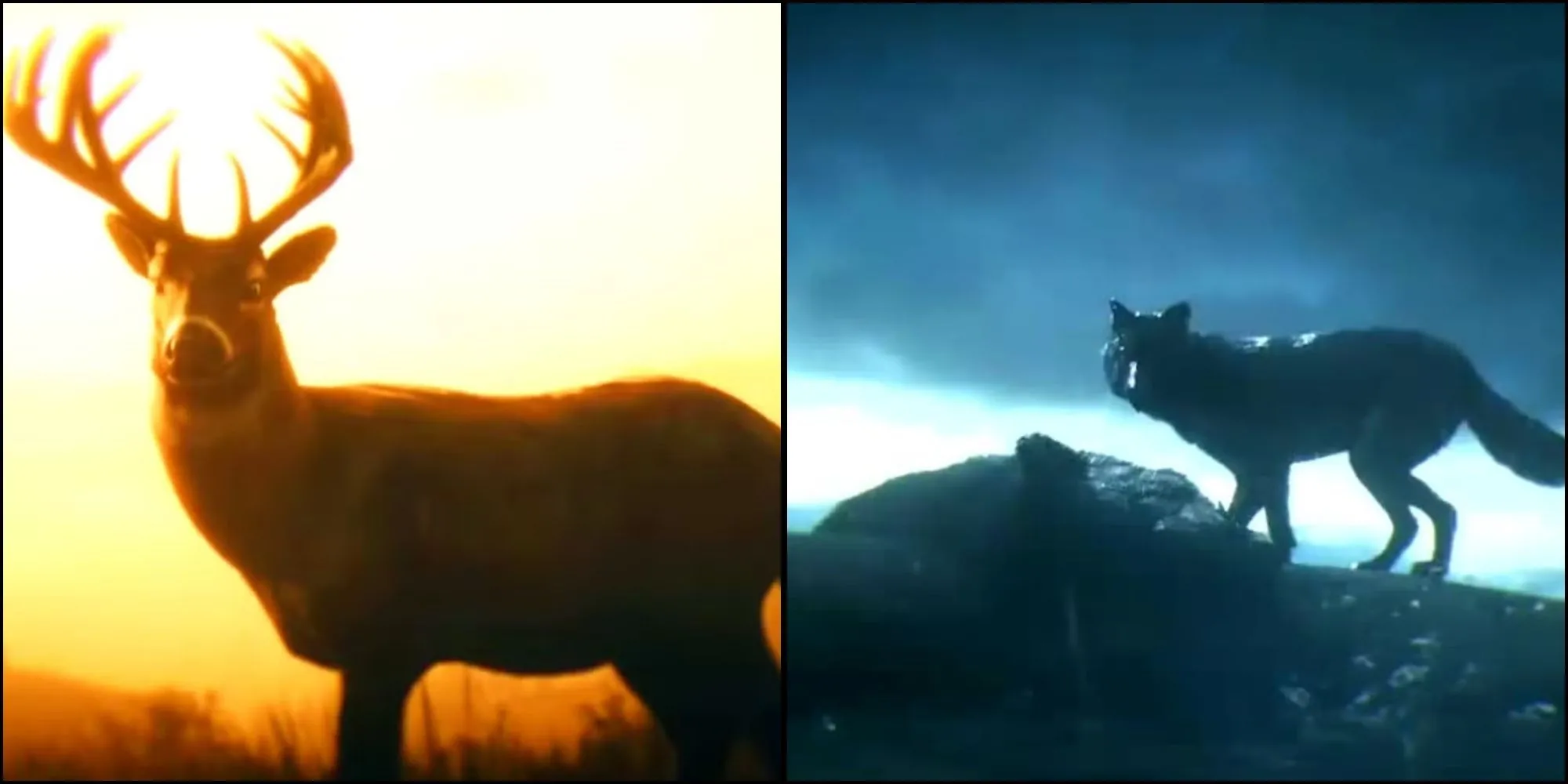 Minh họa hệ thống Danh Dự (Honor) và lựa chọn đạo đức của Arthur Morgan trong RDR2