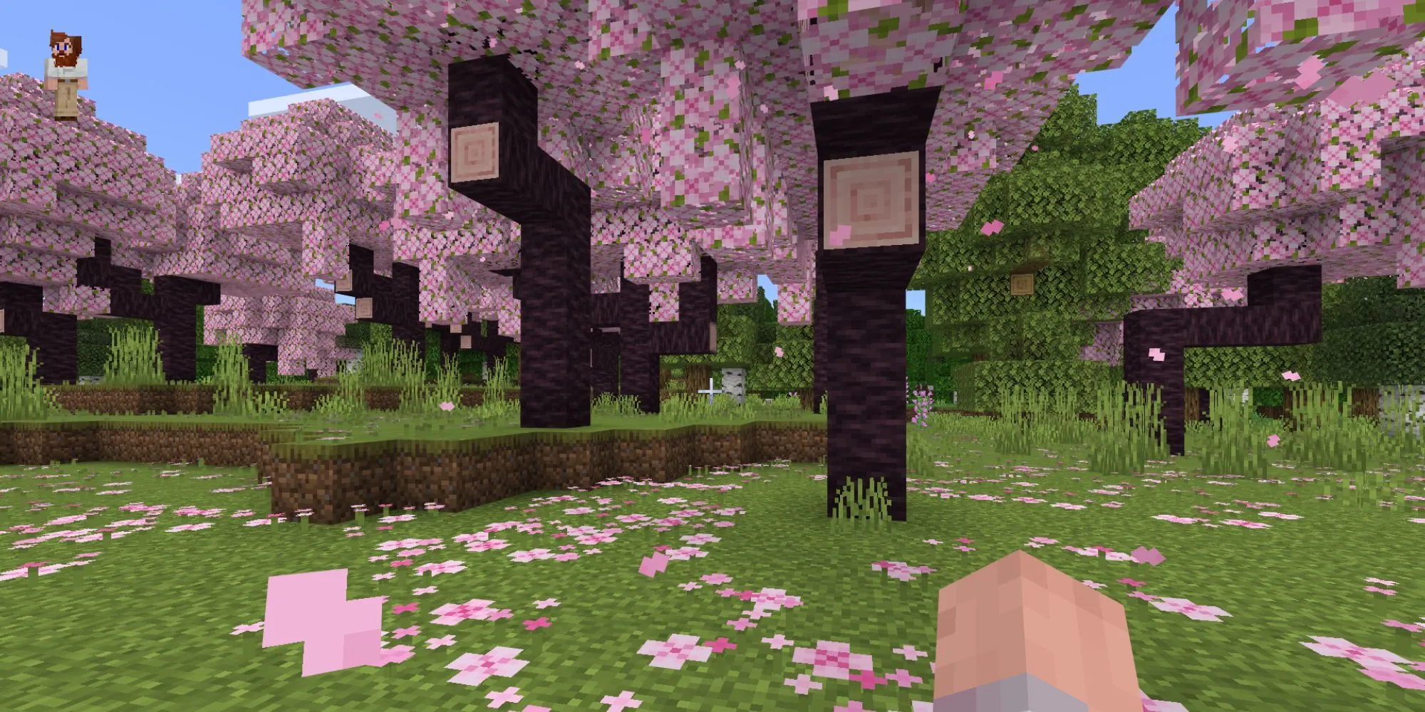 Một khu rừng hoa anh đào trong Minecraft, thể hiện vẻ đẹp của game sandbox.