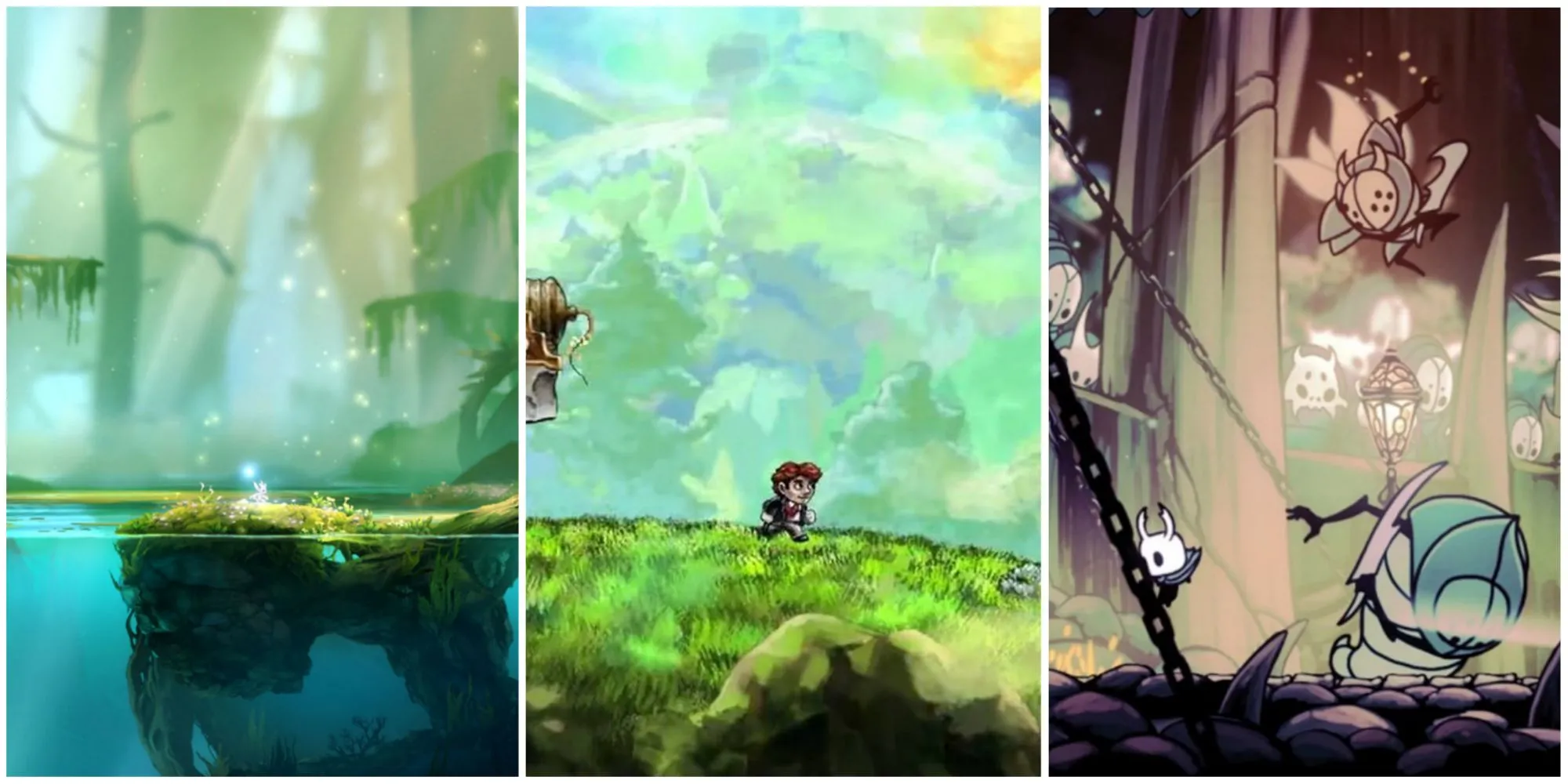 Ori And The Blind Forest, Braid, Và Hollow Knight minh họa các platformer 2D hay nhất