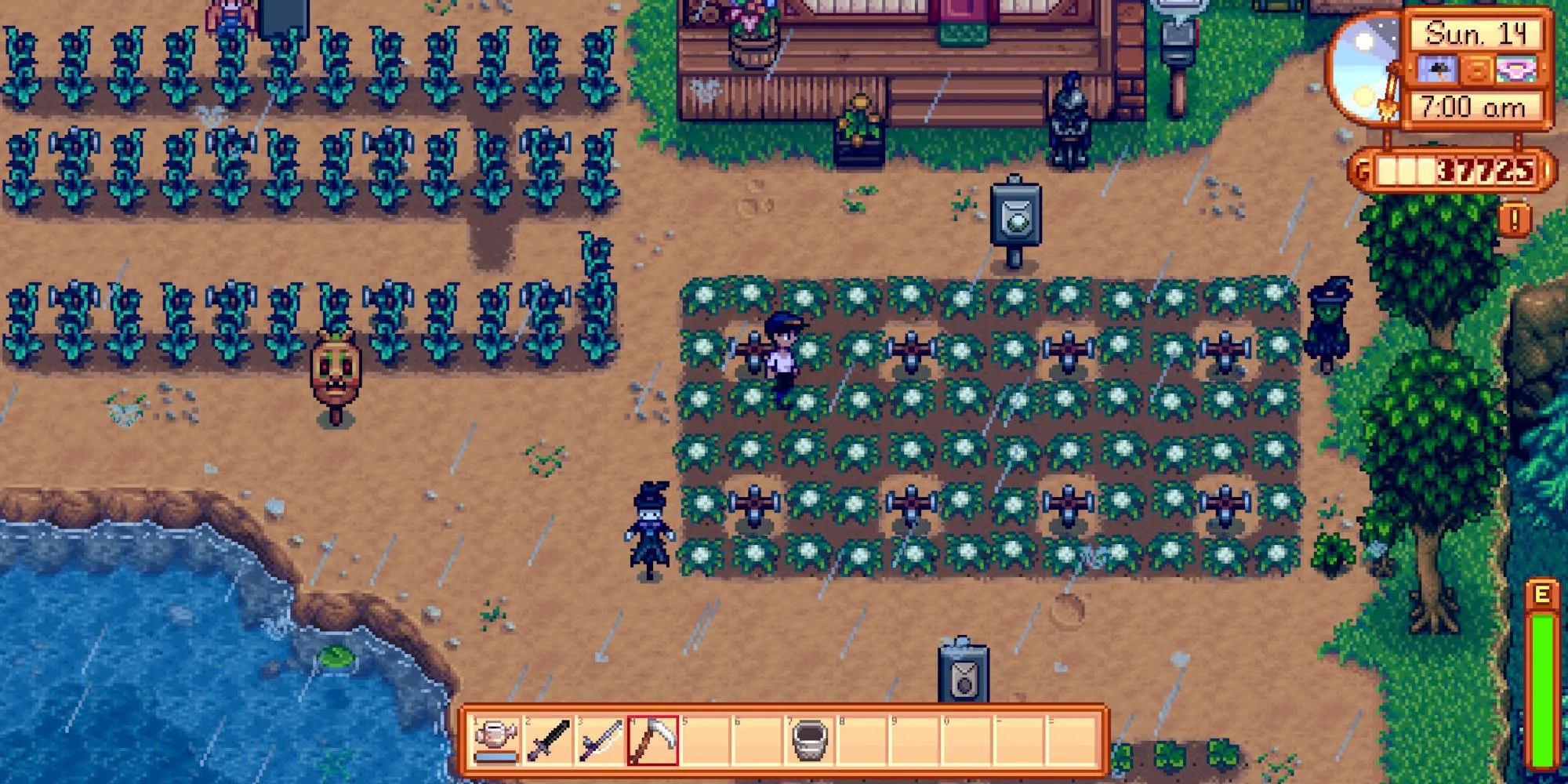 Player farming a field in the rain in Stardew Valley