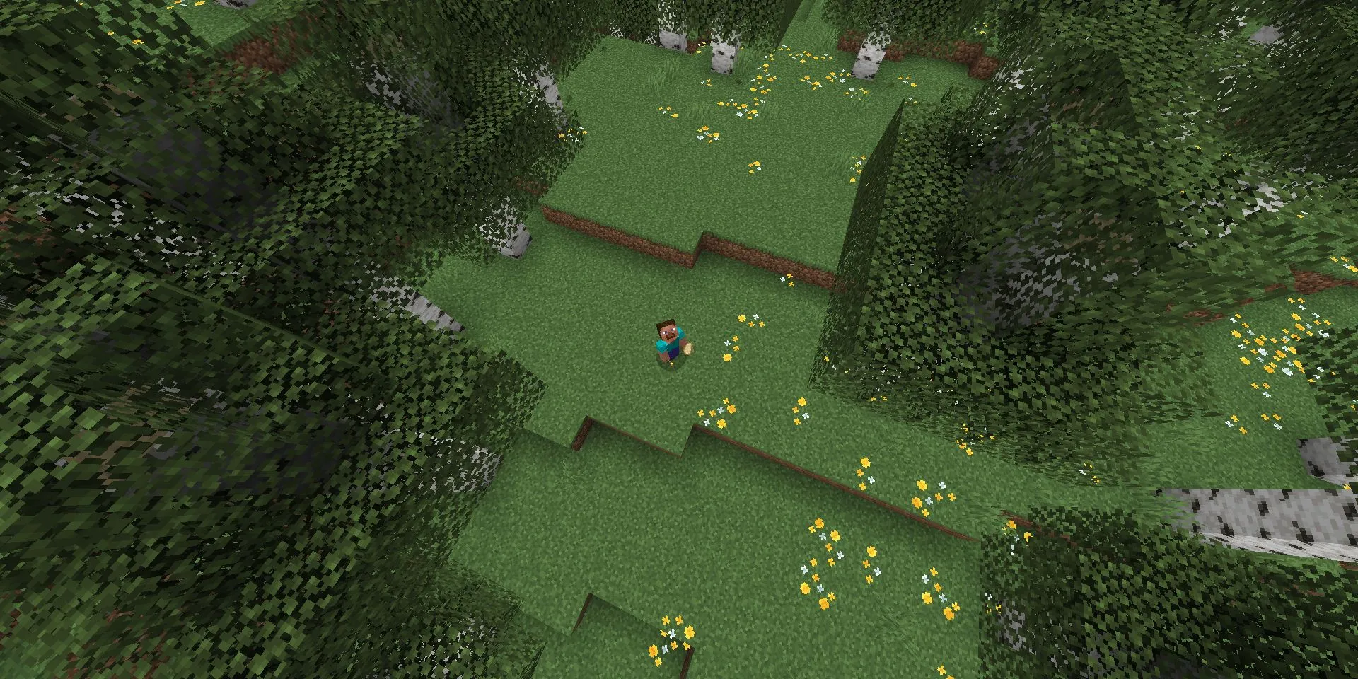 Steve đứng giữa khu rừng Bạch Dương (Birch Forest) trong Minecraft, gợi nhớ concept art chưa thành hiện thực