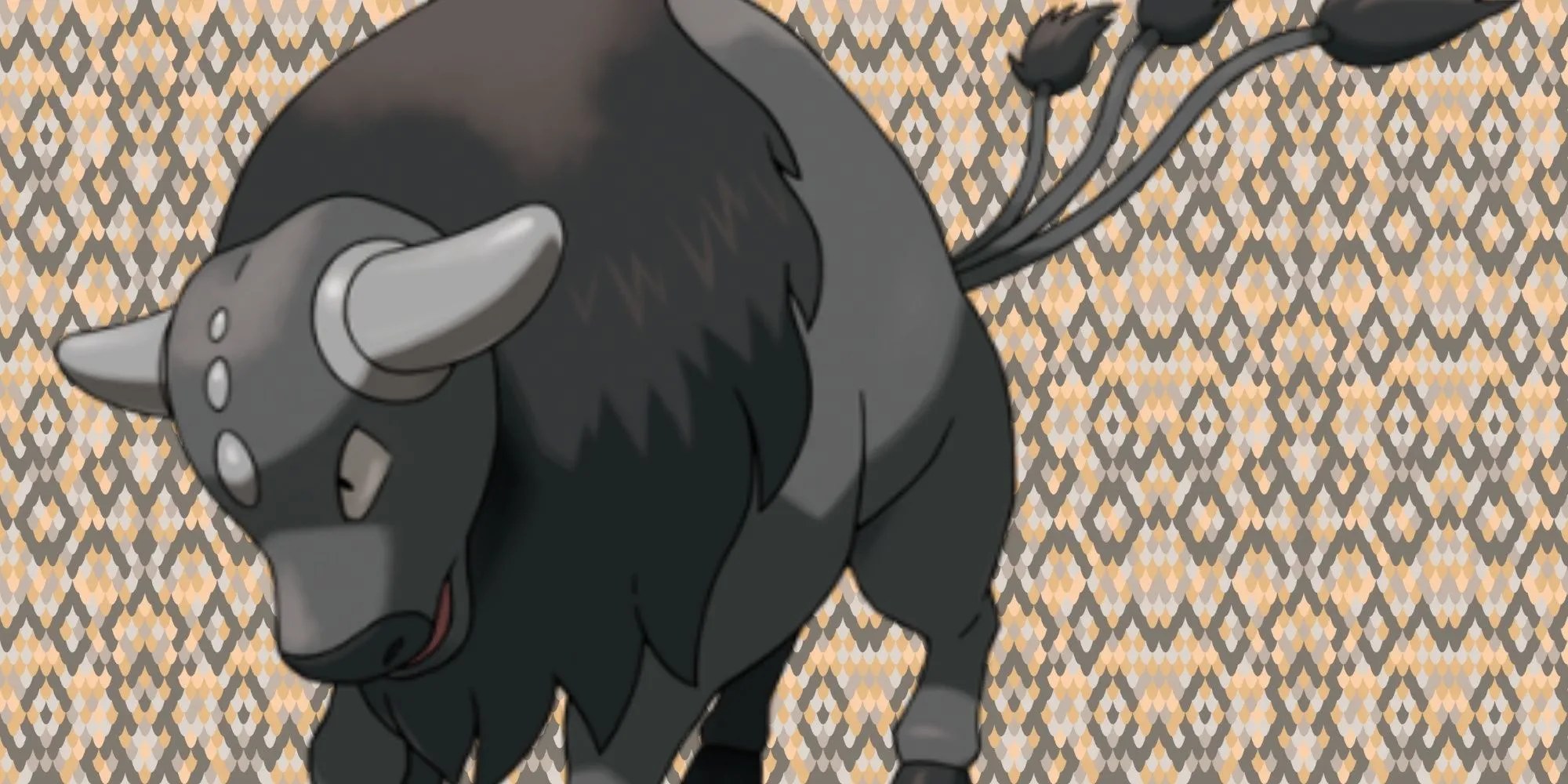 Tauros Paldea hệ Giác Đấu toàn thân màu đen mạnh mẽ