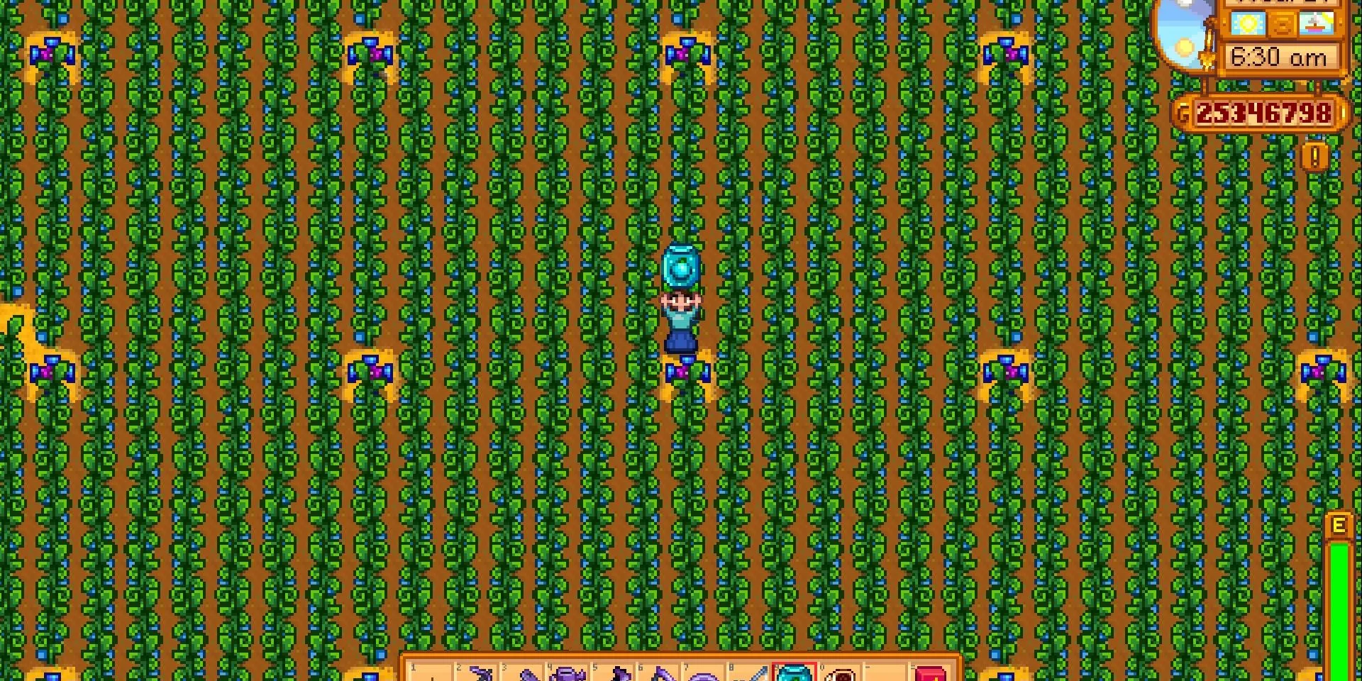 Trang trại Stardew Valley được trồng toàn bộ cây Ancient Fruit