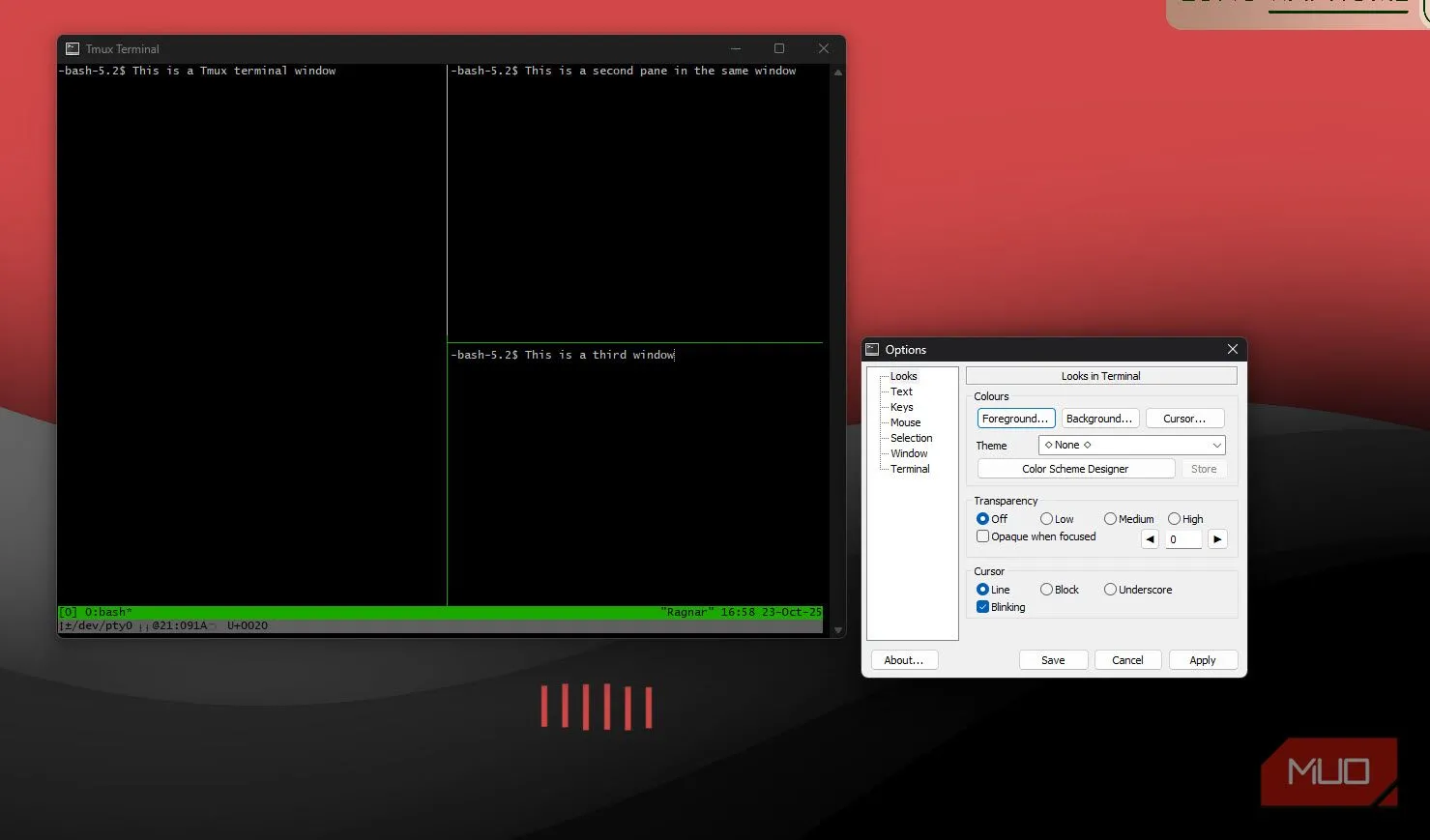 Cửa sổ tùy chọn itmux hiển thị các thiết lập màu, font và tính năng terminal.