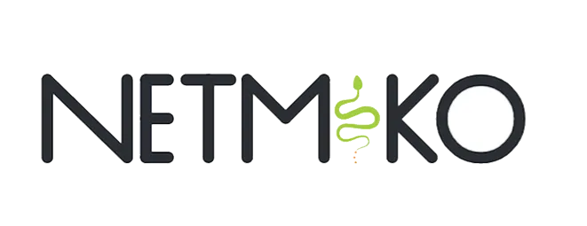 Logo Netmiko trên GitHub, biểu tượng dự án mã nguồn mở hỗ trợ tự động hóa mạng bằng SSH